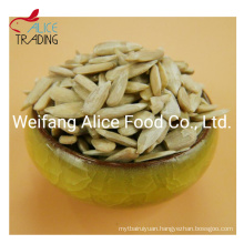 Wholesale China Inner Mongolia 2019 New Crop Sunflower Seeds Kernels